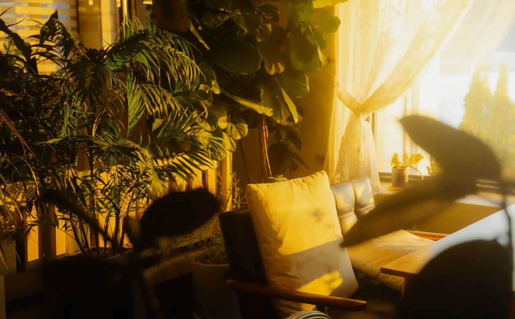 Rincón tranquilo de una casa con luz de tarde entre plantas